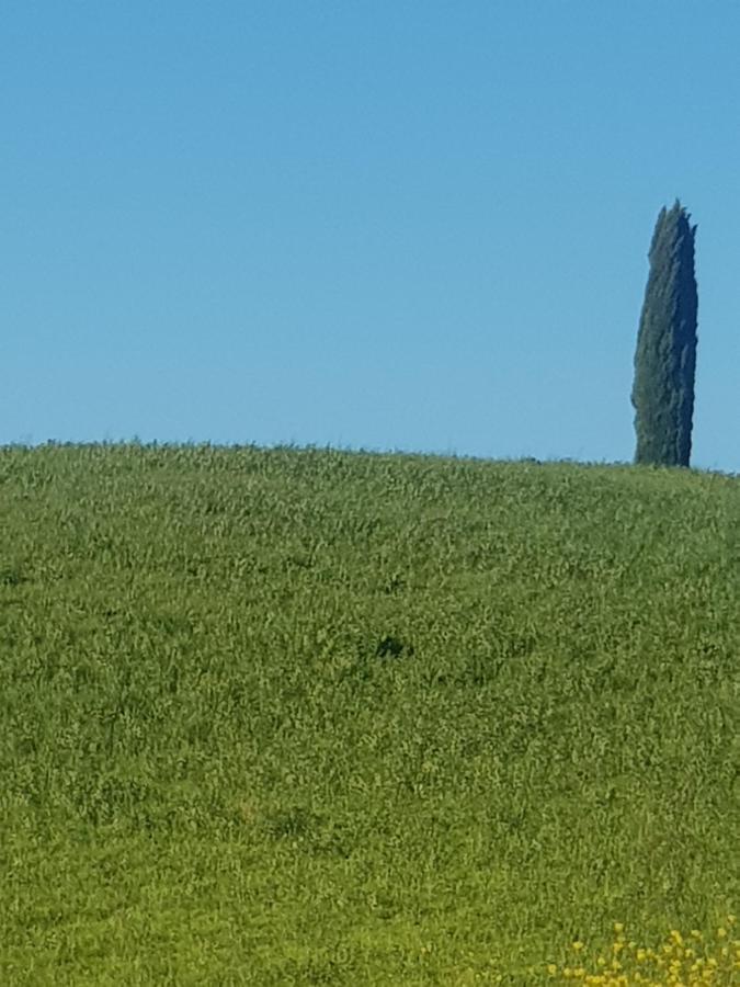 Casa Per L'Osticcio Vista Sulla Val D'Orcia Appartement Montalcino Buitenkant foto