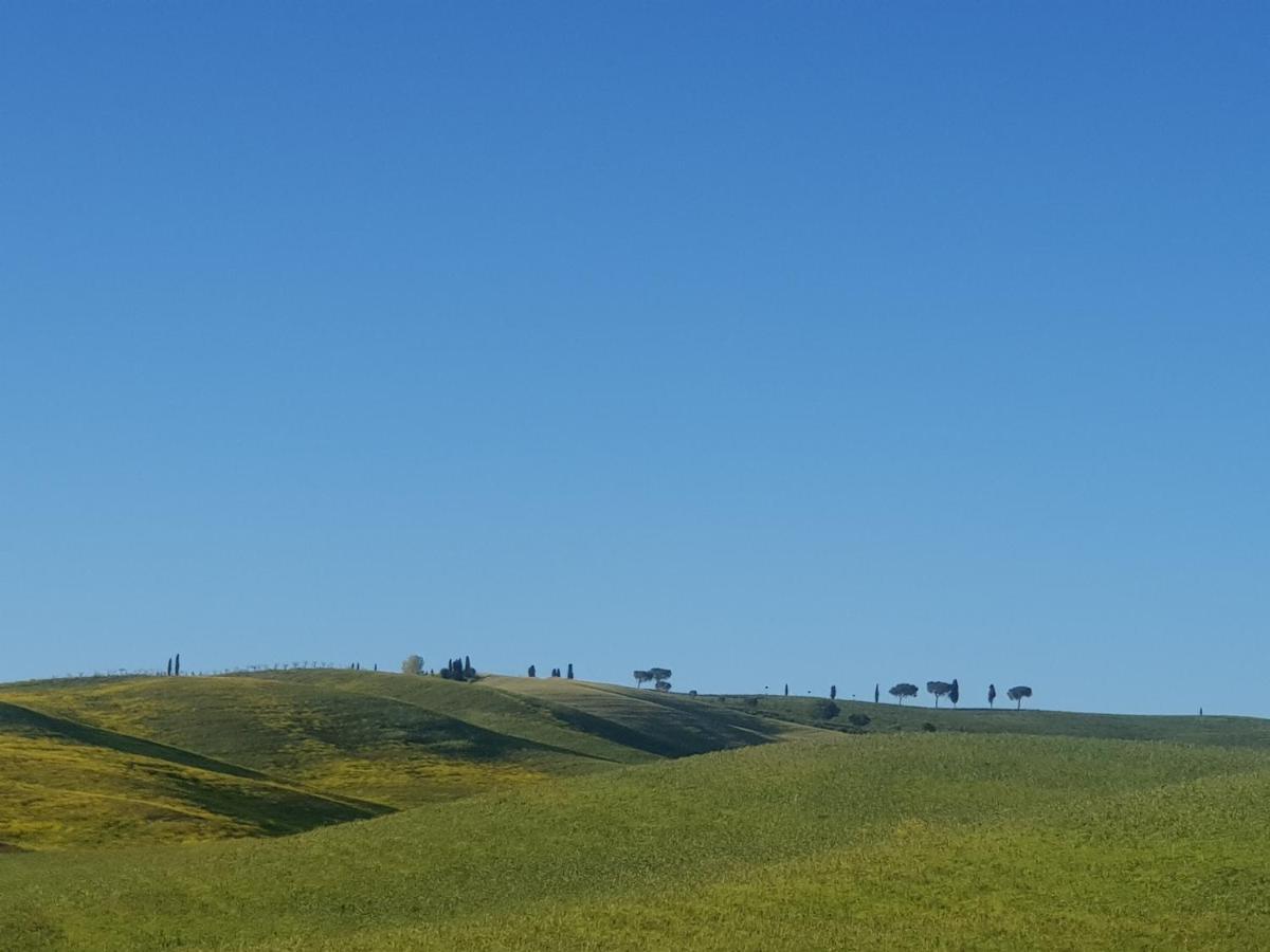 Casa Per L'Osticcio Vista Sulla Val D'Orcia Appartement Montalcino Buitenkant foto