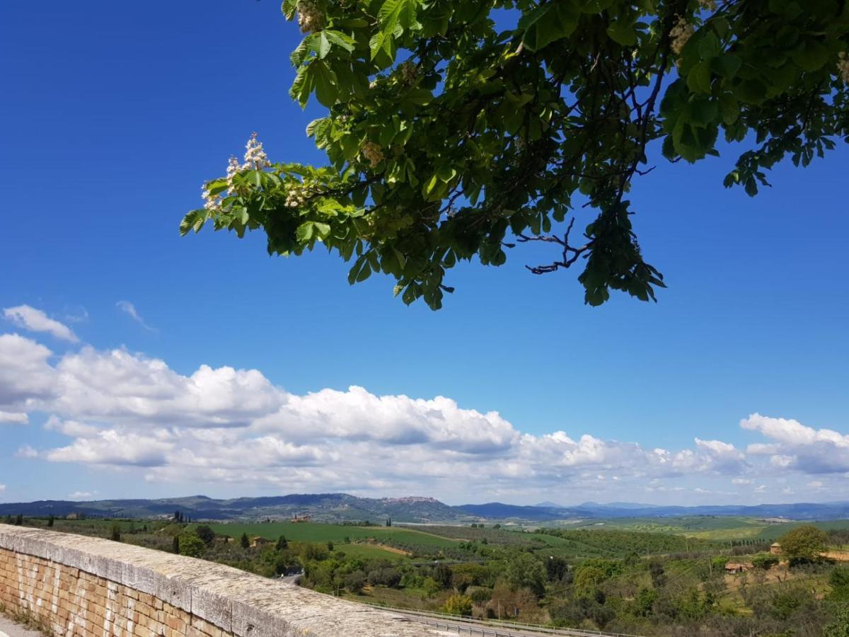 Casa Per L'Osticcio Vista Sulla Val D'Orcia Appartement Montalcino Buitenkant foto