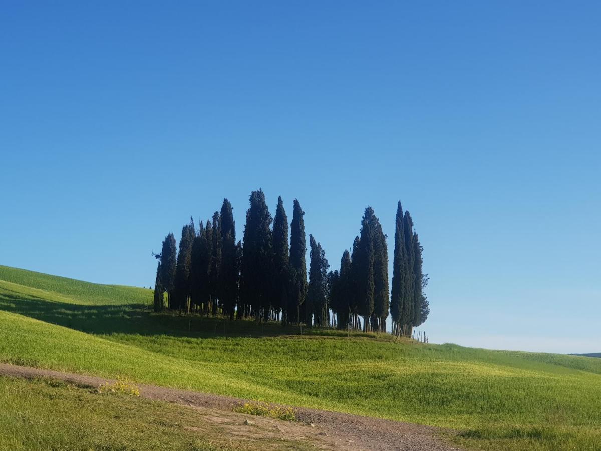 Casa Per L'Osticcio Vista Sulla Val D'Orcia Appartement Montalcino Buitenkant foto