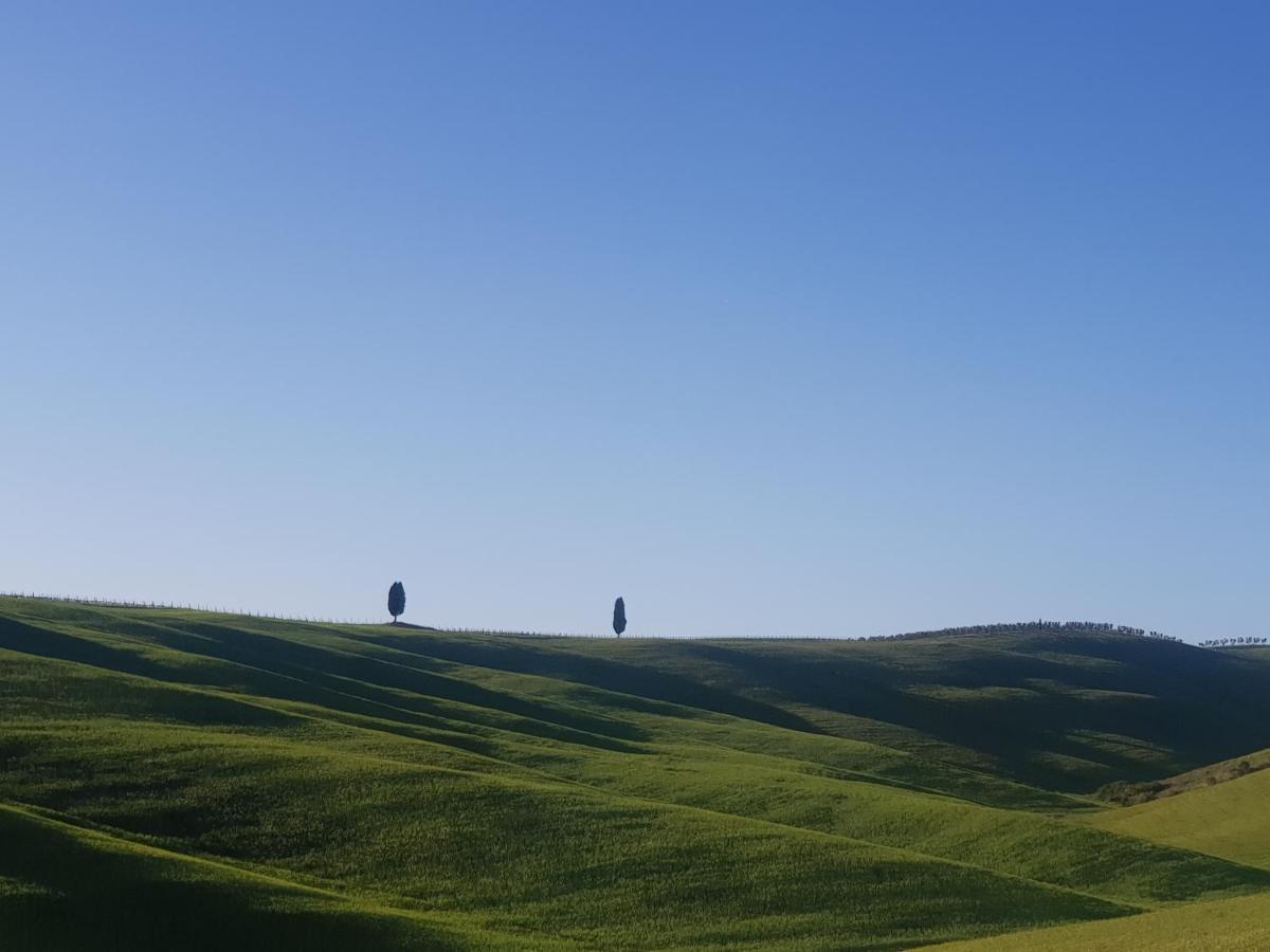 Casa Per L'Osticcio Vista Sulla Val D'Orcia Appartement Montalcino Buitenkant foto