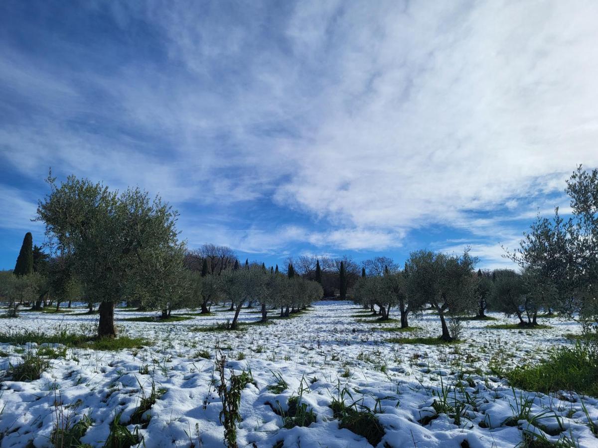 Casa Per L'Osticcio Vista Sulla Val D'Orcia Appartement Montalcino Buitenkant foto